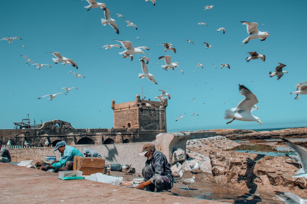 Excursión de un día de Marrakech a Essaouira