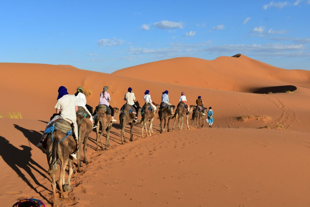 contacto