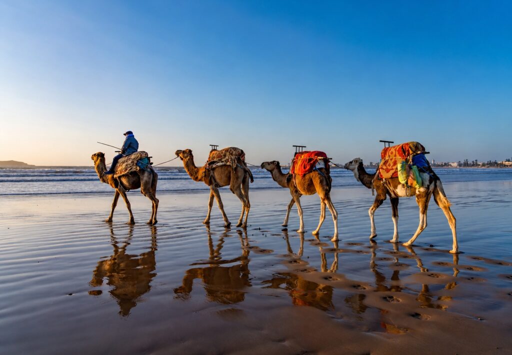 Ruta de 11 días de Agadir a Essaouira vía Tafraoute Sidi Ali